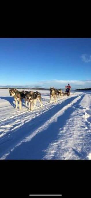 Northern Light Huts - Paradise Lapland Кируна Екстериор снимка