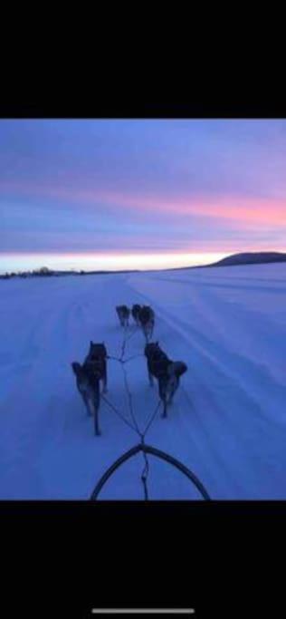 Northern Light Huts - Paradise Lapland Кируна Екстериор снимка
